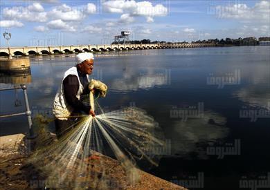 تصوير مجدى إبراهيم
